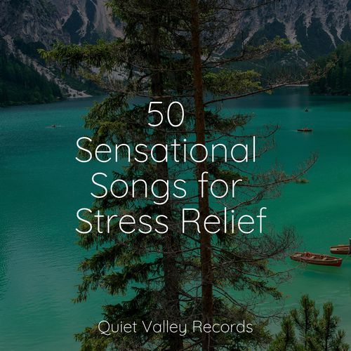 50 Sensational Songs for Stress Relief