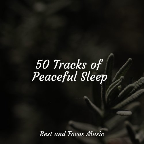 50 Tracks of Peaceful Sleep_poster_image