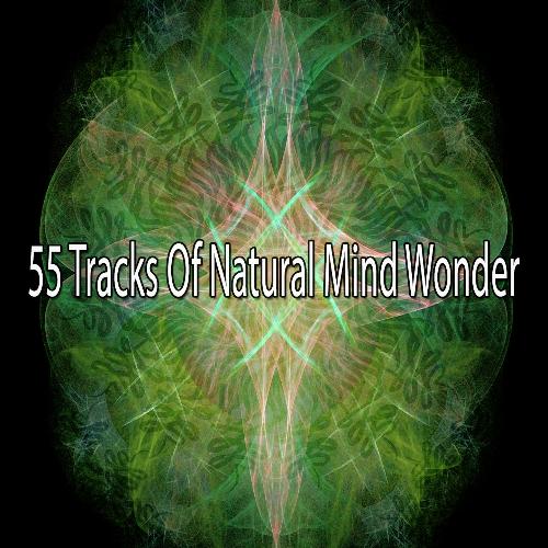 55 Tracks of Natural Mind Wonder_poster_image