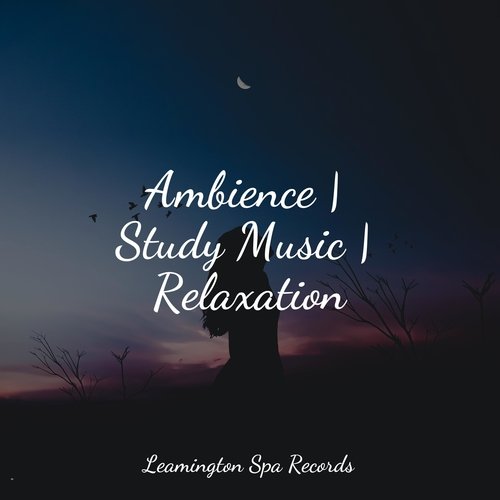 Ambience | Study Music | Relaxation