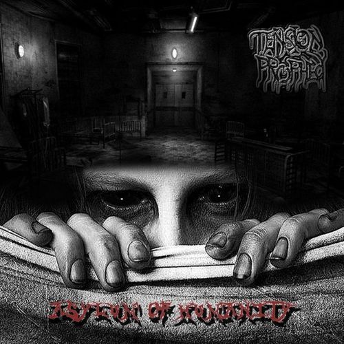 Transmigrator cover art