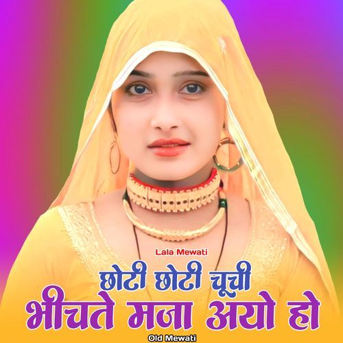 छोटी छोटी चूची भीचते मजा आयो हो ओल्ड मेवाती