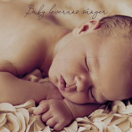 Babymusik cover art