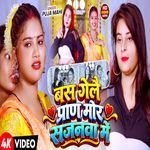 Bas Gelo Pran Mor Sajanwa Me