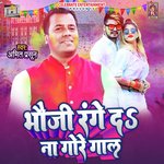 Bhauji Range Da Na Gore Gaal (Holi Geet)