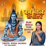 Bum Bhole Tere Mandir Me