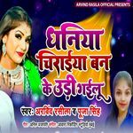 Dhaniya Chiraiya Banake Udi Gailu