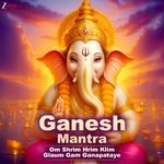 Ganesh Mantra (Om Shrim Hrim Klim Glaum Gam Ganapataye)