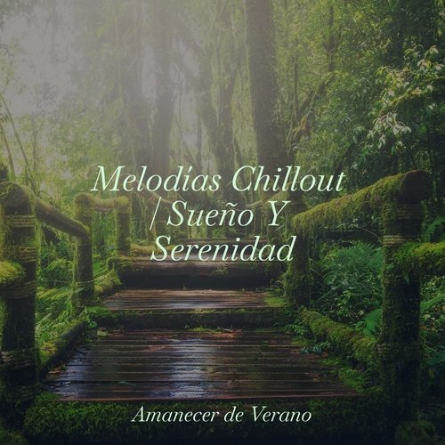 Melodías Chillout | Sueño Y Serenidad