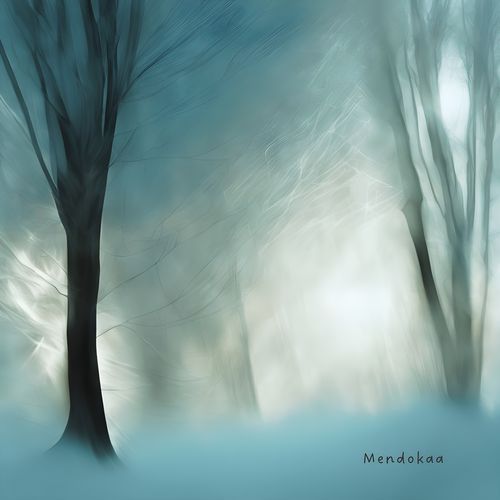 Mendokaa cover art