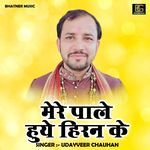 Mere Pale Huye Hiran Ke