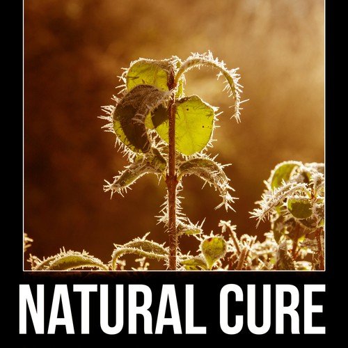Natural Cure - Pain Relief, Relaxation, Deep Sleep, New Age Music to Stop Headache