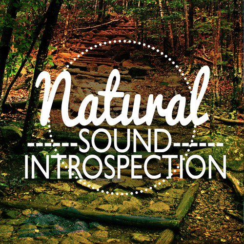 Nature Sound Introspection