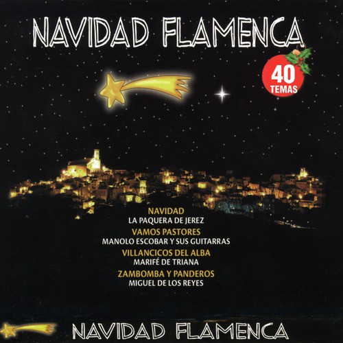 Navidad Flamenca