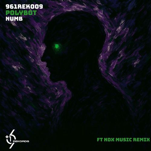 Numb (NDX Music Remix) cover art