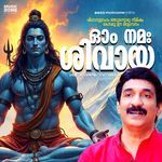 Om Namah Shivaya