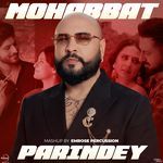 Parindey x Mohabbat (Mashup)