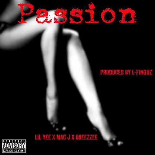 Passion cover art