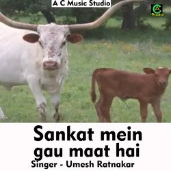 Sankat mein gau maat hai (Hindi Song)-JioZVh9hAkA