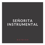 Señorita (Instrumental)