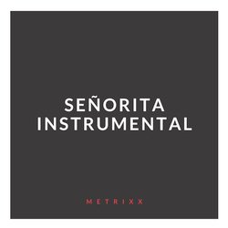 Señorita (Instrumental)