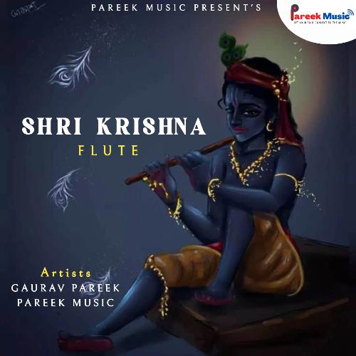 Shri Krishna_poster_image