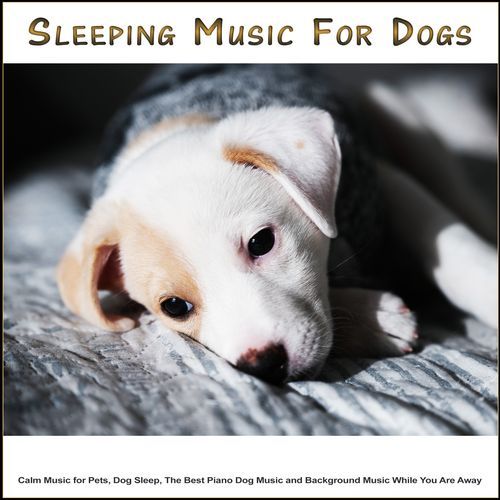 Music for Dog's Ears cover art