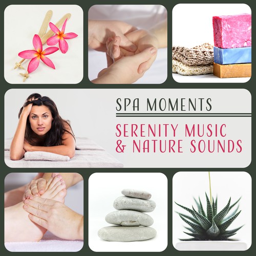 Spa Moments – Serenity Music & Nature Sounds for Relaxation Meditation, Anti (Stress and Massage Therapy, Welness Center Sounds)