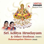 Sri Swaminatha Karavalambashtakam artwork