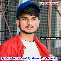 System Tagdo Chal Jiji Meena Ka Chora Ko-MQ0saUJfbWA