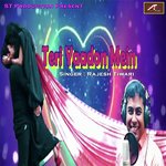 TERI YAADON MEIN (Hindi)