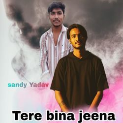 Tere Bina jeena