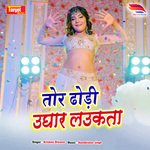 Tor Dhori Ughar Laukata