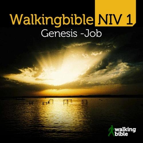 Walkingbible Niv 1, Genesis -Job