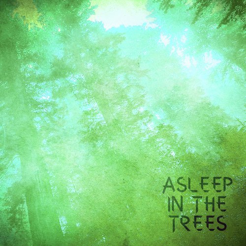 Asleep in the Trees