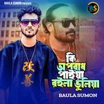 কি অপরাধ পাইয়া রইলা ভুলিয়া