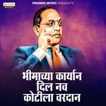 Bhimachya Karyan Dil Nav Kotila Vardan