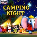 Camping Night