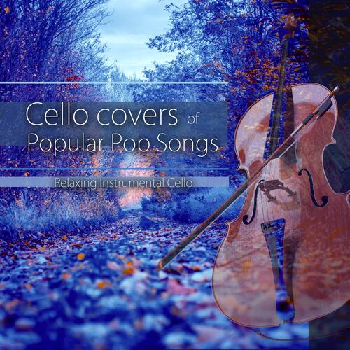 Top store cello covers