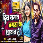 Dil Lagal Bagaha Ke Jawan Se