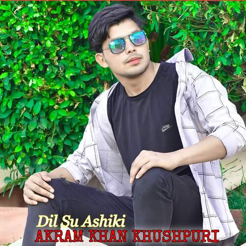 Dil Su Ashiki