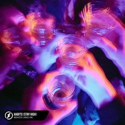 Habits (Stay High)