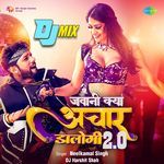 Jawani Kya Achar Dalogi 2.0 - DJ Mix