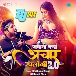 Jawani Kya Achar Dalogi 2.0 - DJ Mix-PCYaUxNncUI