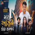 Mara Aanshu Ne Kon Samjave