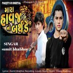 Mara Havaj No birth day (gujrati)