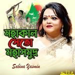 Mohakal Seto Akul Mohasomudro