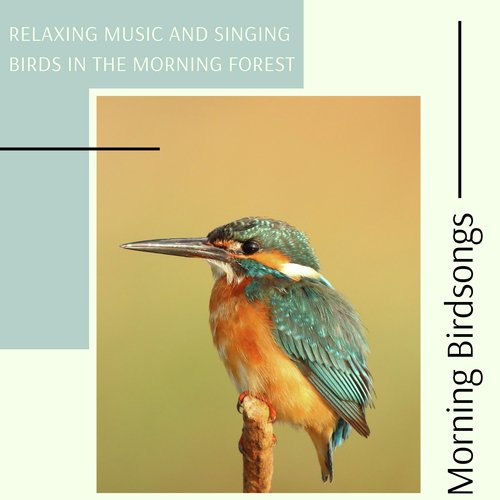 Morning Birdsongs - Relaxing Music and Singing Birds in the Morning Forest