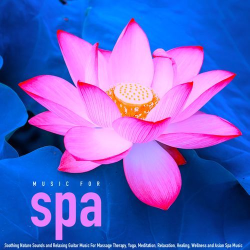 Relaxing Asian Spa Music Guitar cover art