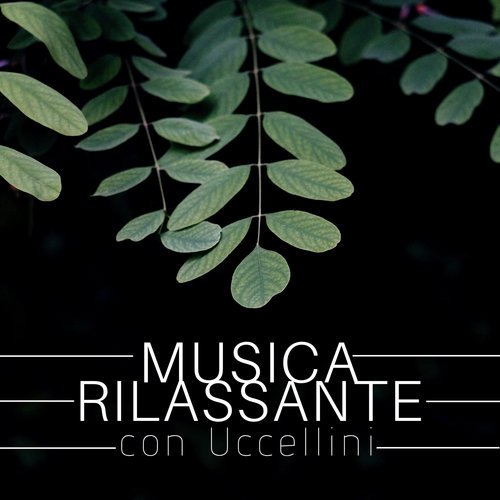 Musica Rilassante con Uccellini 2018 - Suoni della Natura per Dormire